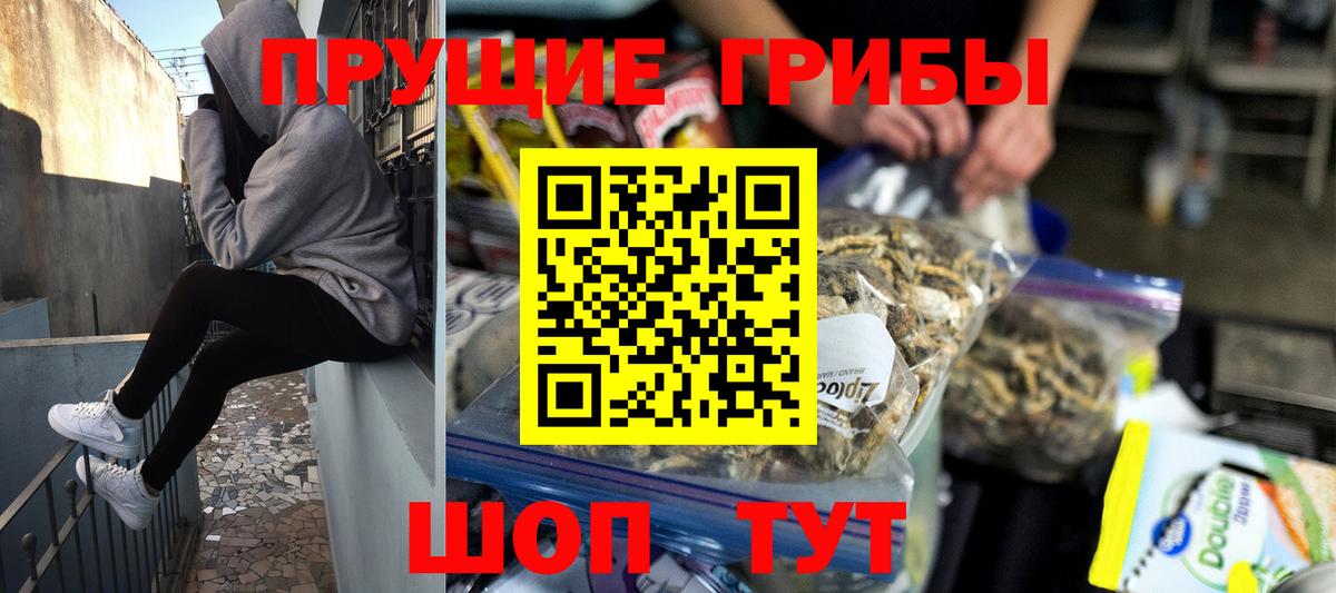 Галлюциногенные грибы прущие грибы Холмск