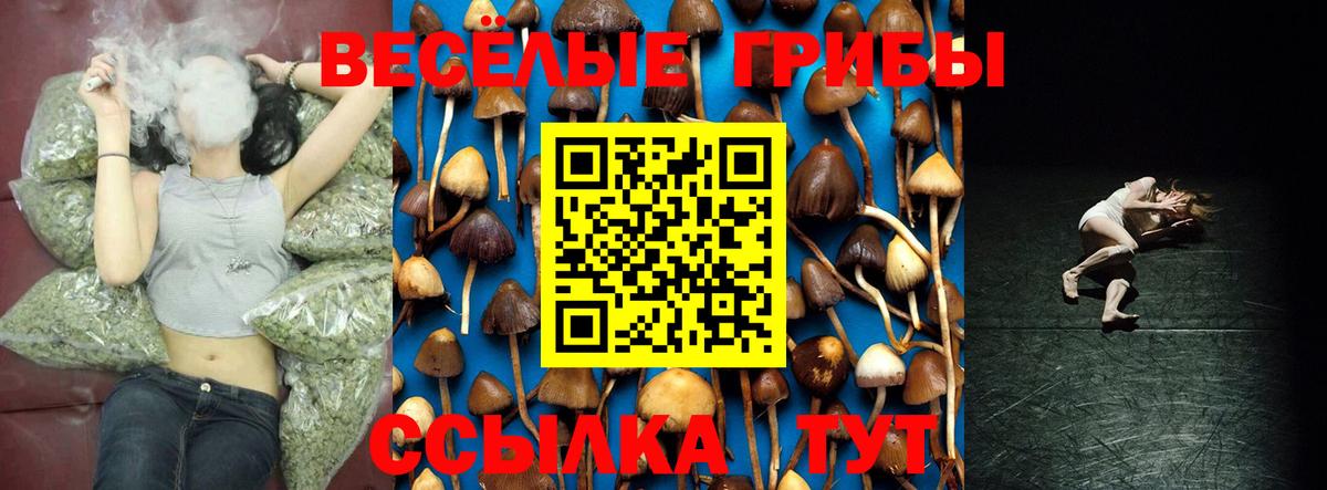 Холмск  наркота  Вход с VPN  Галлюциногенные грибы Cubensis 